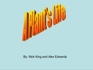 A Plant's Life By: Nick King and Alex Edwards 