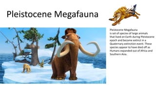 Pleistocene Megafauna
Pleistocene Megafauna
is set of species of large animals
that lived on Earth during Pleistocene
epoch and became extinct in a
Quaternary extinction event. These
species appear to have died off as
Humans expanded out of Africa and
Southern Asia.
 