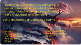 Biodiversity is diminished or destroyed in a
number of ways either by natural cause or
by human disruption. When the balance of
nature is disturbed, environment is
being devastated and species became EXTINCT.
Natural Cause : Human Disruption:
*Evolution
*Asteroid Impact
*Volcanic Eruption
*Plate Tectonics
*Others
*Holocene Extinction
*Pleistocene Extinction
*Others
 