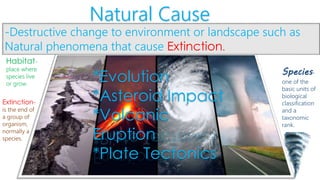 Natural Cause
-Destructive change to environment or landscape such as
Natural phenomena that cause Extinction.
Extinction-
is the end of
a group of
organism,
normally a
species.
Species-
one of the
basic units of
biological
classification
and a
taxonomic
rank.
*Evolution
*Asteroid Impact
*Volcanic
Eruption
*Plate Tectonics
Habitat-
place where
species live
or grow.
 