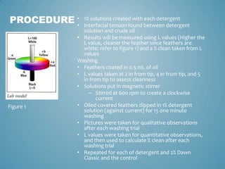 Procedure1% solutions created with each detergentInterfacial tension found between detergent solution and crude oil Results will be measured using L values (Higher the L value, cleaner the feather since feathers are white: refer to figure 1) and a % clean taken from L valuesWashingFeathers coated in 0.5 mL of oilL values taken at 2 in from tip, 4 in from tip, and 5 in from tip to assess cleanness Solutions put in magnetic stirrerStirred at 600 rpm to create a clockwise currentOiled covered feathers dipped in 1% detergent solution (against current) for 15 one minute washingPictures were taken for qualitative observations after each washing trialL values were taken for quantitative observations, and then used to calculate % clean after each washing trialRepeated for each of detergent and 2% Dawn Classic and the control Figure 1