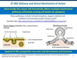 ST-001 Delivery and Direct Mechanism of Action
12
Systemic ST-001 nanoparticles may enter cells like Exosomes and Ectosome...