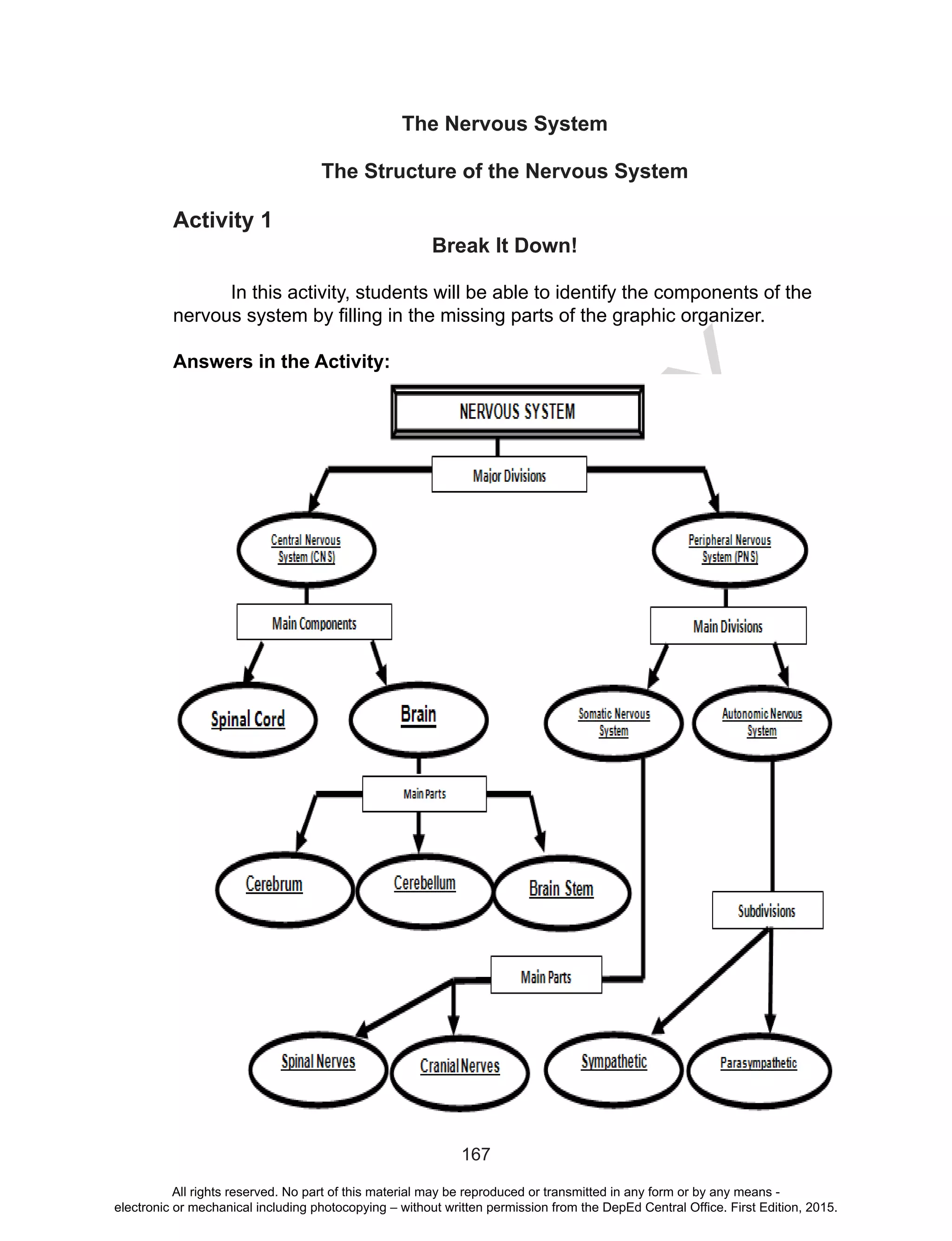 D
EPED
C
O
PY
167
The Nervous System
The Structure of the Nervous System
Activity 1
Break It Down!
In this activity, students will be able to identify the components of the
nervous system by filling in the missing parts of the graphic organizer.
Answers in the Activity:
	
All rights reserved. No part of this material may be reproduced or transmitted in any form or by any means -
electronic or mechanical including photocopying – without written permission from the DepEd Central Office. First Edition, 2015.
 