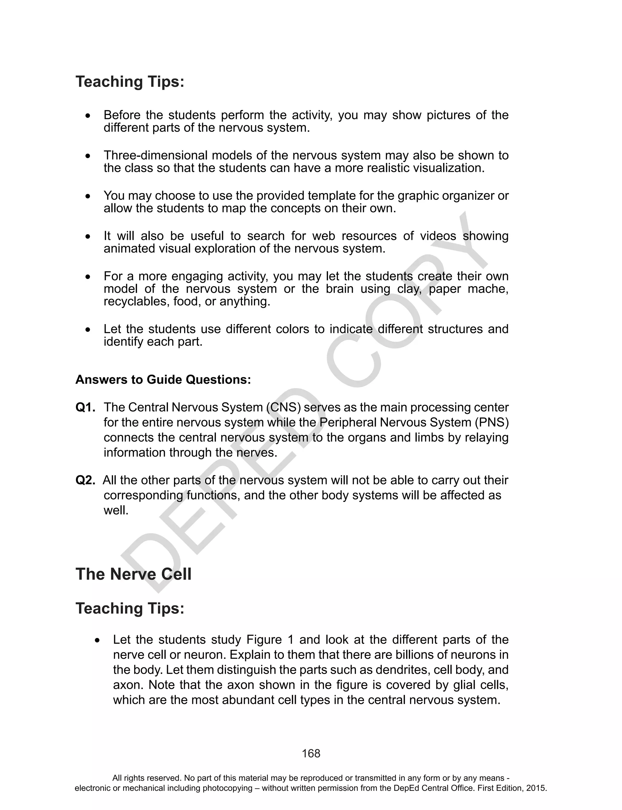 D
EPED
C
O
PY
168
Teaching Tips:
•	 Before the students perform the activity, you may show pictures of the
different parts of the nervous system.
•	 Three-dimensional models of the nervous system may also be shown to
the class so that the students can have a more realistic visualization.
•	 You may choose to use the provided template for the graphic organizer or
allow the students to map the concepts on their own.
•	 It will also be useful to search for web resources of videos showing
animated visual exploration of the nervous system.
•	 For a more engaging activity, you may let the students create their own
model of the nervous system or the brain using clay, paper mache,
recyclables, food, or anything.
•	 Let the students use different colors to indicate different structures and
identify each part.
Answers to Guide Questions:
Q1. 	The Central Nervous System (CNS) serves as the main processing center
for the entire nervous system while the Peripheral Nervous System (PNS)
connects the central nervous system to the organs and limbs by relaying
information through the nerves.
Q2. All the other parts of the nervous system will not be able to carry out their
corresponding functions, and the other body systems will be affected as
well.
The Nerve Cell
Teaching Tips:
•	 Let the students study Figure 1 and look at the different parts of the
nerve cell or neuron. Explain to them that there are billions of neurons in
the body. Let them distinguish the parts such as dendrites, cell body, and
axon. Note that the axon shown in the figure is covered by glial cells,
which are the most abundant cell types in the central nervous system.
All rights reserved. No part of this material may be reproduced or transmitted in any form or by any means -
electronic or mechanical including photocopying – without written permission from the DepEd Central Office. First Edition, 2015.
 