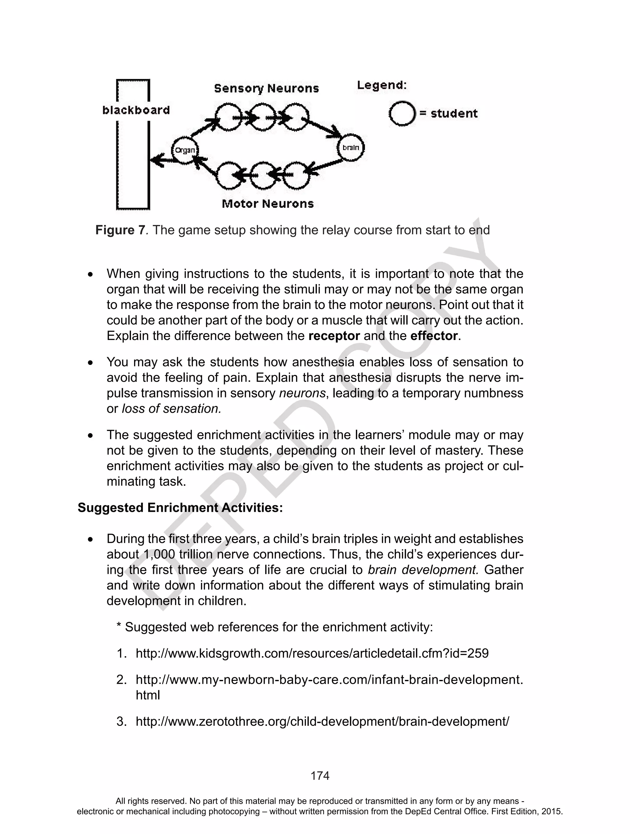 D
EPED
C
O
PY
174
•	 When giving instructions to the students, it is important to note that the
organ that will be receiving the stimuli may or may not be the same organ
to make the response from the brain to the motor neurons. Point out that it
could be another part of the body or a muscle that will carry out the action.
Explain the difference between the receptor and the effector.
•	 You may ask the students how anesthesia enables loss of sensation to
avoid the feeling of pain. Explain that anesthesia disrupts the nerve im-
pulse transmission in sensory neurons, leading to a temporary numbness
or loss of sensation.
•	 The suggested enrichment activities in the learners’ module may or may
not be given to the students, depending on their level of mastery. These
enrichment activities may also be given to the students as project or cul-
minating task.
Suggested Enrichment Activities:
•	 During the first three years, a child’s brain triples in weight and establishes
about 1,000 trillion nerve connections. Thus, the child’s experiences dur-
ing the first three years of life are crucial to brain development. Gather
and write down information about the different ways of stimulating brain
development in children.
* Suggested web references for the enrichment activity:
1.	 http://www.kidsgrowth.com/resources/articledetail.cfm?id=259
2.	 http://www.my-newborn-baby-care.com/infant-brain-development.
html
3.	 http://www.zerotothree.org/child-development/brain-development/
Figure 7. The game setup showing the relay course from start to end
All rights reserved. No part of this material may be reproduced or transmitted in any form or by any means -
electronic or mechanical including photocopying – without written permission from the DepEd Central Office. First Edition, 2015.
 