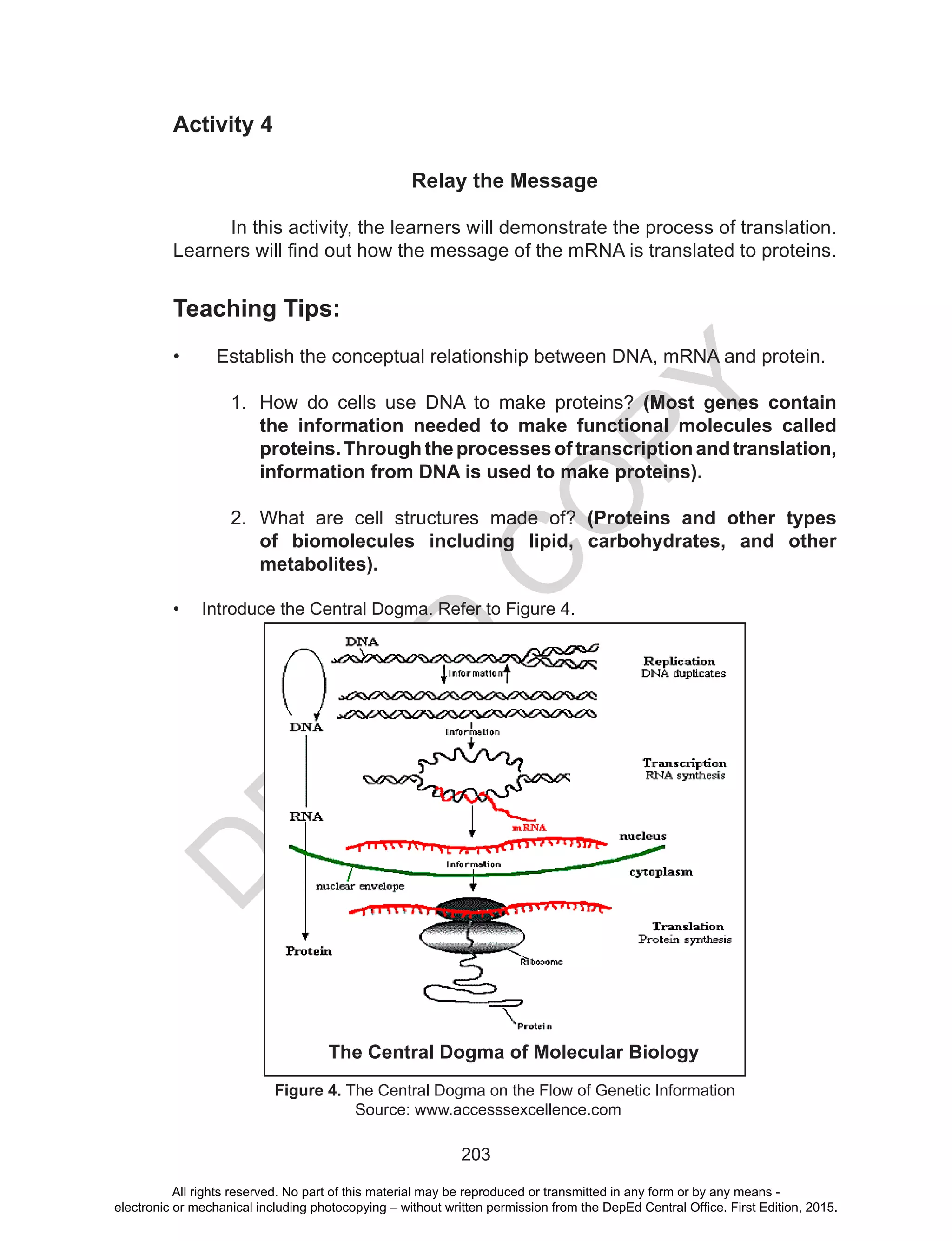 D
EPED
C
O
PY
203
Activity 4
Relay the Message
In this activity, the learners will demonstrate the process of translation.
Learners will find out how the message of the mRNA is translated to proteins.
Teaching Tips:
•	 Establish the conceptual relationship between DNA, mRNA and protein.
1.	 How do cells use DNA to make proteins? (Most genes contain
the information needed to make functional molecules called
proteins.Throughtheprocesses oftranscriptionandtranslation,
information from DNA is used to make proteins).
2.	 What are cell structures made of? (Proteins and other types
of biomolecules including lipid, carbohydrates, and other
metabolites).
•	 Introduce the Central Dogma. Refer to Figure 4.
Figure 4. The Central Dogma on the Flow of Genetic Information
			 Source: www.accesssexcellence.com
The Central Dogma of Molecular Biology
All rights reserved. No part of this material may be reproduced or transmitted in any form or by any means -
electronic or mechanical including photocopying – without written permission from the DepEd Central Office. First Edition, 2015.
 