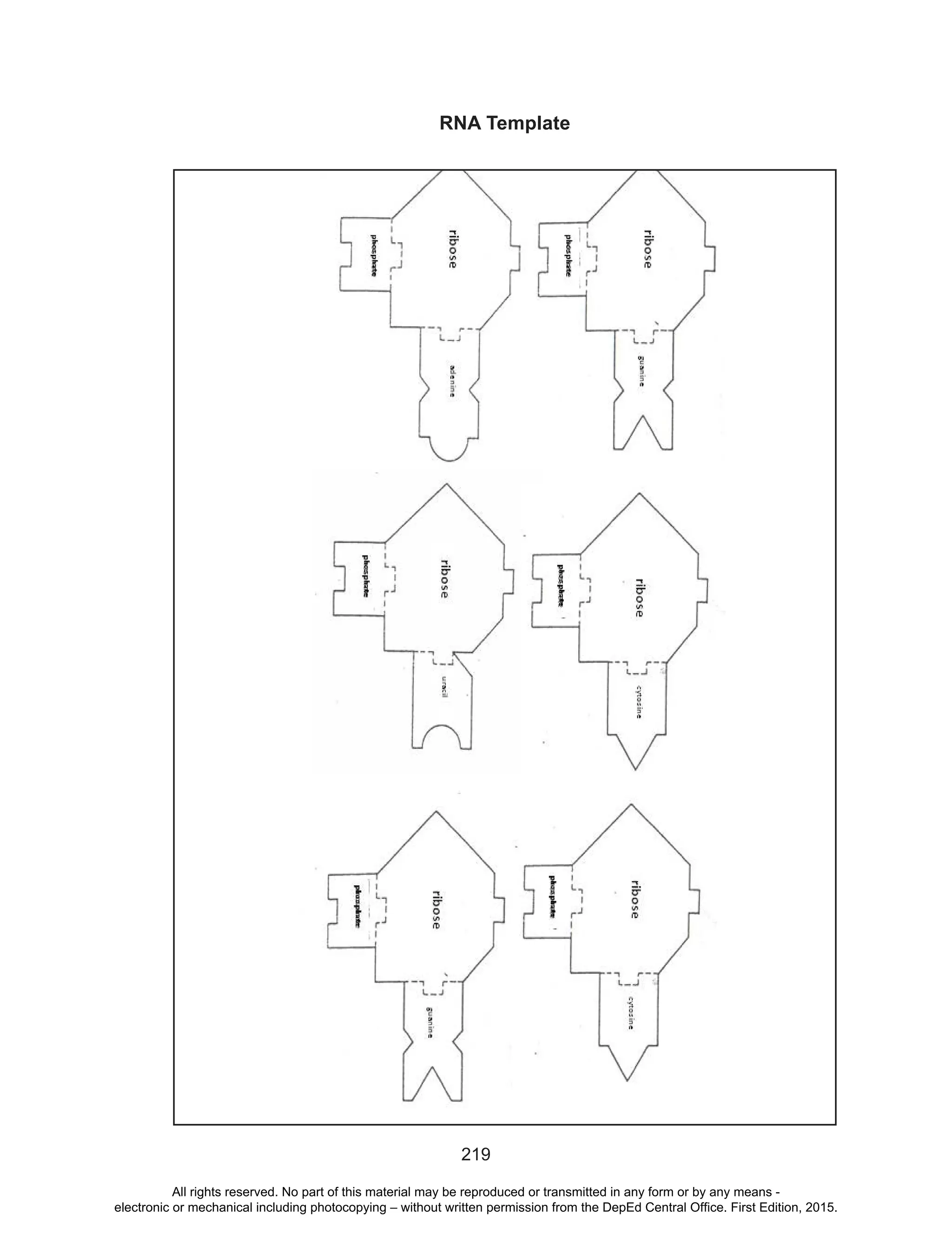 D
EPED
C
O
PY
219
RNA Template
All rights reserved. No part of this material may be reproduced or transmitted in any form or by any means -
electronic or mechanical including photocopying – without written permission from the DepEd Central Office. First Edition, 2015.
 