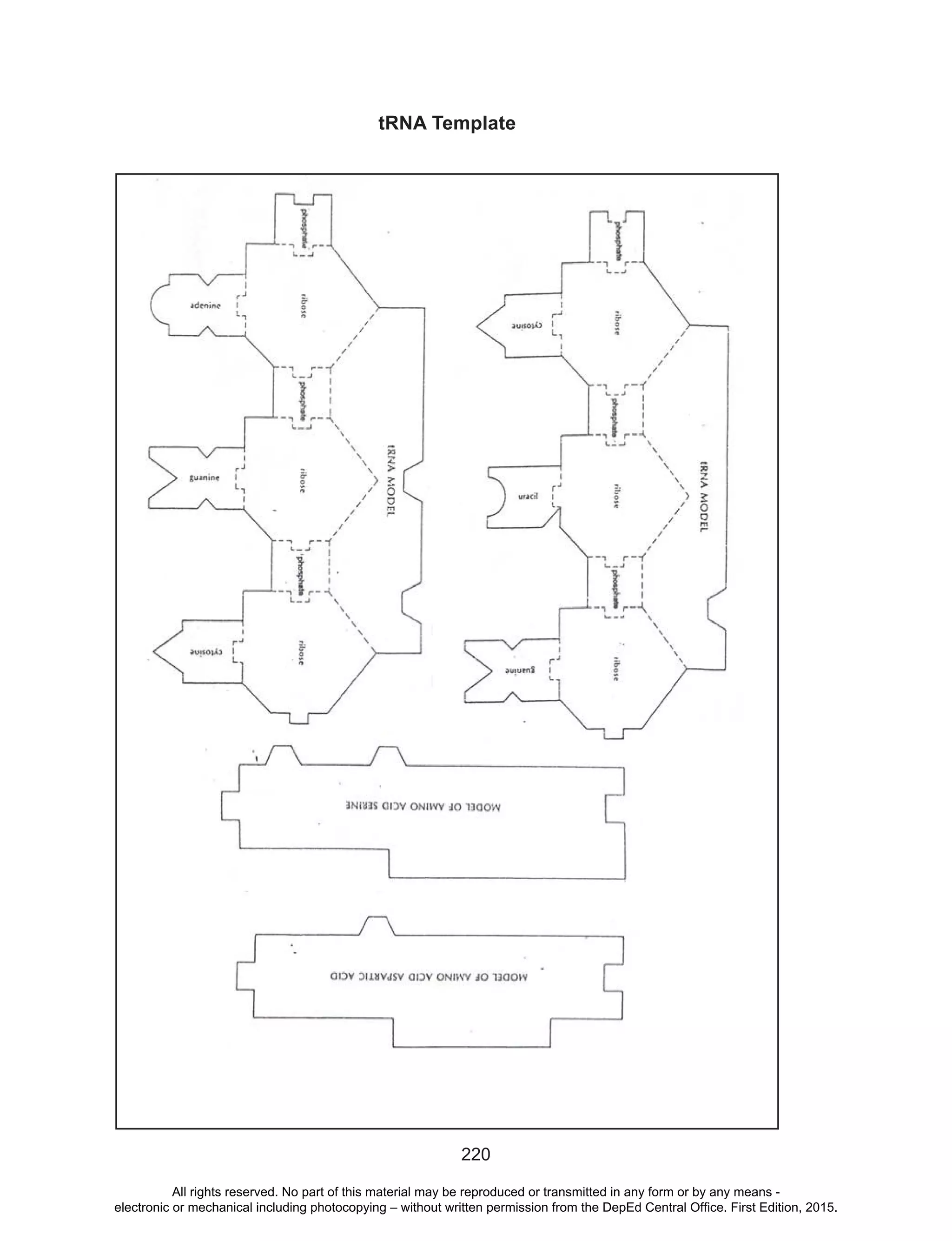 D
EPED
C
O
PY
220
tRNA Template
All rights reserved. No part of this material may be reproduced or transmitted in any form or by any means -
electronic or mechanical including photocopying – without written permission from the DepEd Central Office. First Edition, 2015.
 
