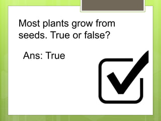 Most plants grow from
seeds. True or false?
Ans: True