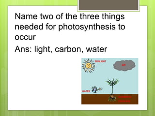 Name two of the three things
needed for photosynthesis to
occur
Ans: light, carbon, water