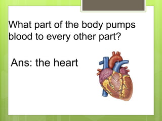 What part of the body pumps
blood to every other part?
Ans: the heart