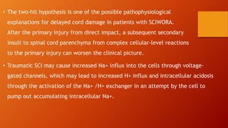 • The two-hit hypothesis is one of the possible pathophysiological
explanations for delayed cord damage in patients with SCIWORA.
After the primary injury from direct impact, a subsequent secondary
insult to spinal cord parenchyma from complex cellular-level reactions
to the primary injury can worsen the clinical picture.
• Traumatic SCI may cause increased Na+ influx into the cells through voltage-
gated channels, which may lead to increased H+ influx and intracellular acidosis
through the activation of the Na+ /H+ exchanger in an attempt by the cell to
pump out accumulating intracellular Na+.
 