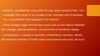 • Likewise, increased Na+ influx after SCI may cause reversal of Na+ /Ca++
exchanger that results in an increase in Na+ extrusion and intracellular
Ca++ accumulation with apoptosis of the neurons.
• These changes trigger intracellular events such as free radical mediated
cell damage, lipid peroxidation, and activation of membrane lipases.
• Consequently, a cascade of secondary inflammatory reactions, edema,
and ischemia resulting in further spinal cord parenchymal insult can occur
 