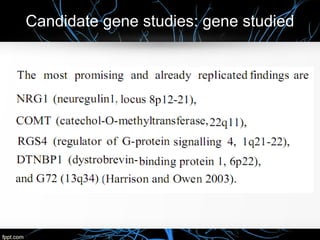 Candidate gene studies: gene studied
 