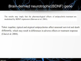 Brain-derived neurotrophic(BDNF) gene
 
