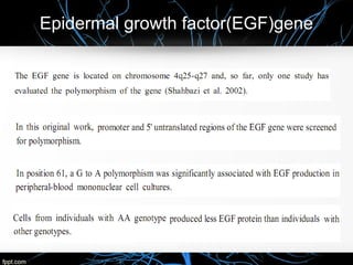 Epidermal growth factor(EGF)gene
 