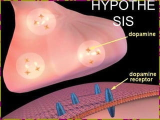 HYPOTHE
SIS
 