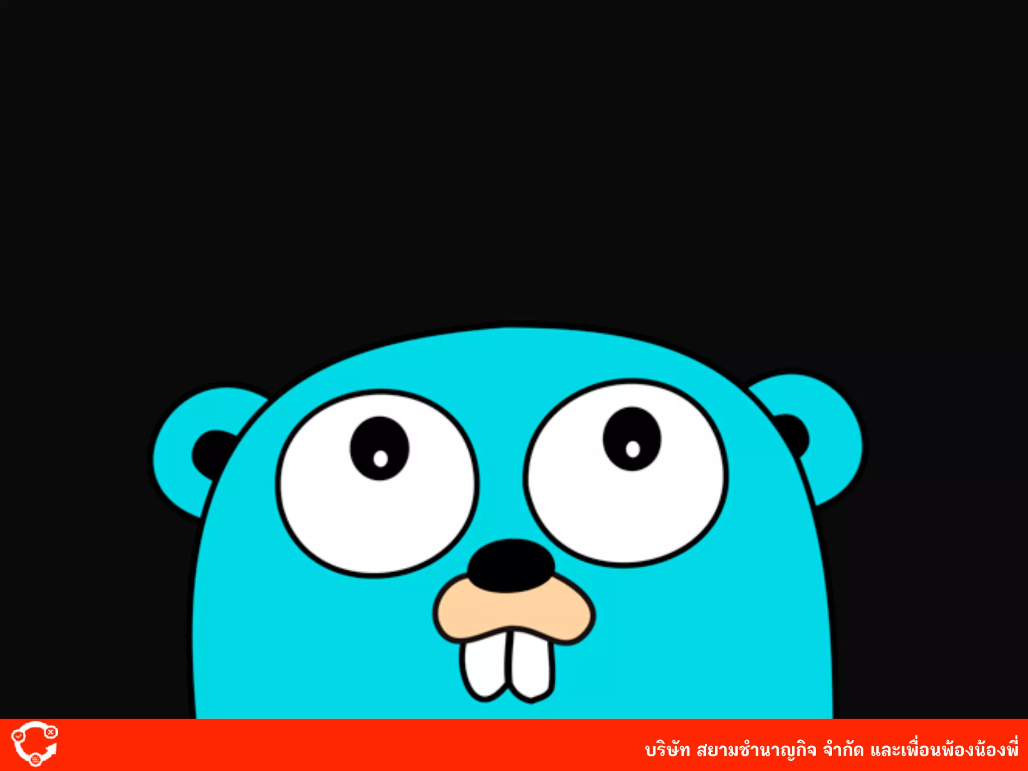 บริษัท สยาม๡ํานาญกิจ จํากัด และเพื่อนพ้องน้องพี่
 
