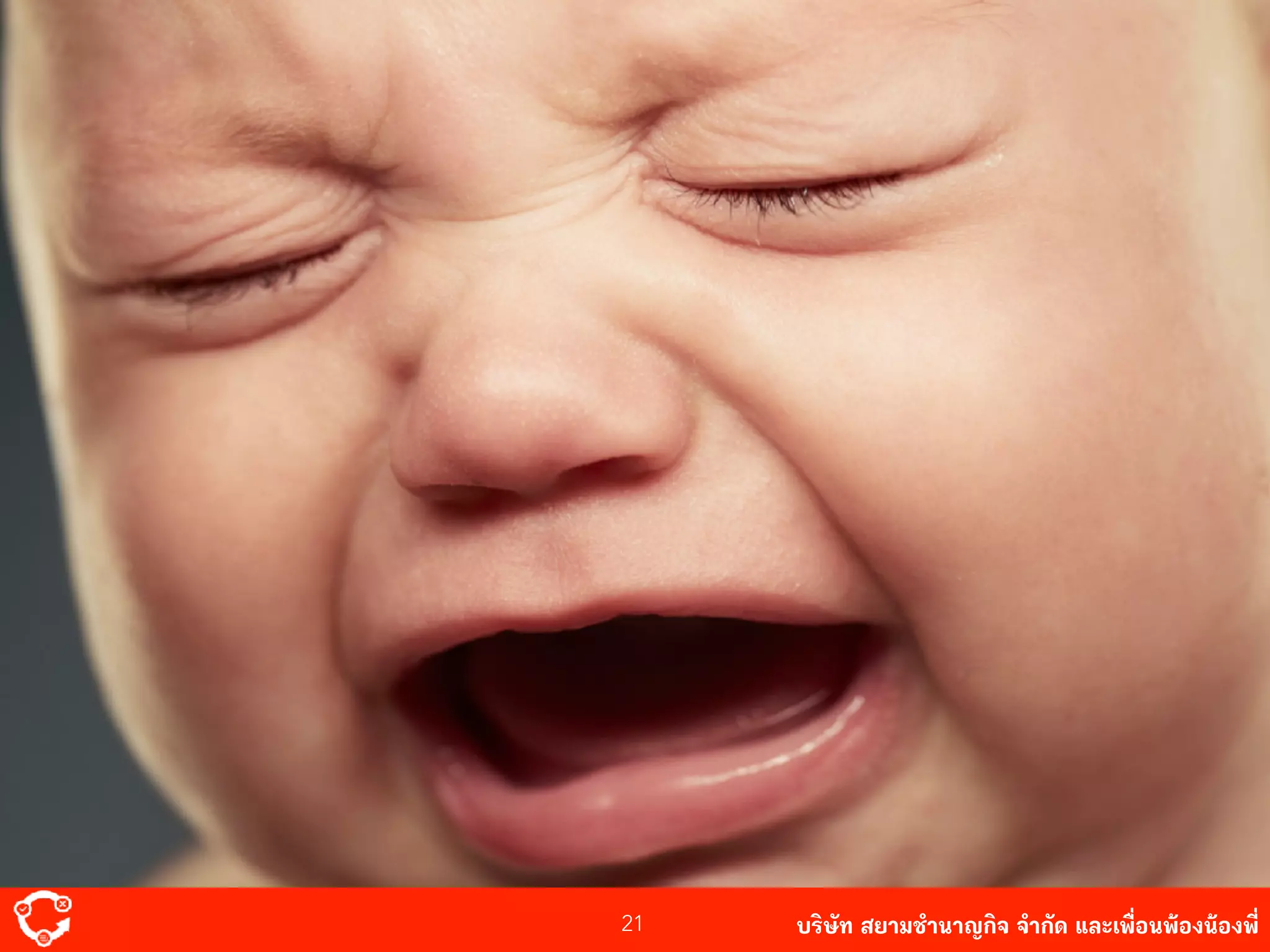 บริษัท สยาม๡ํานาญกิจ จํากัด และเพื่อนพ้องน้องพี่21
 