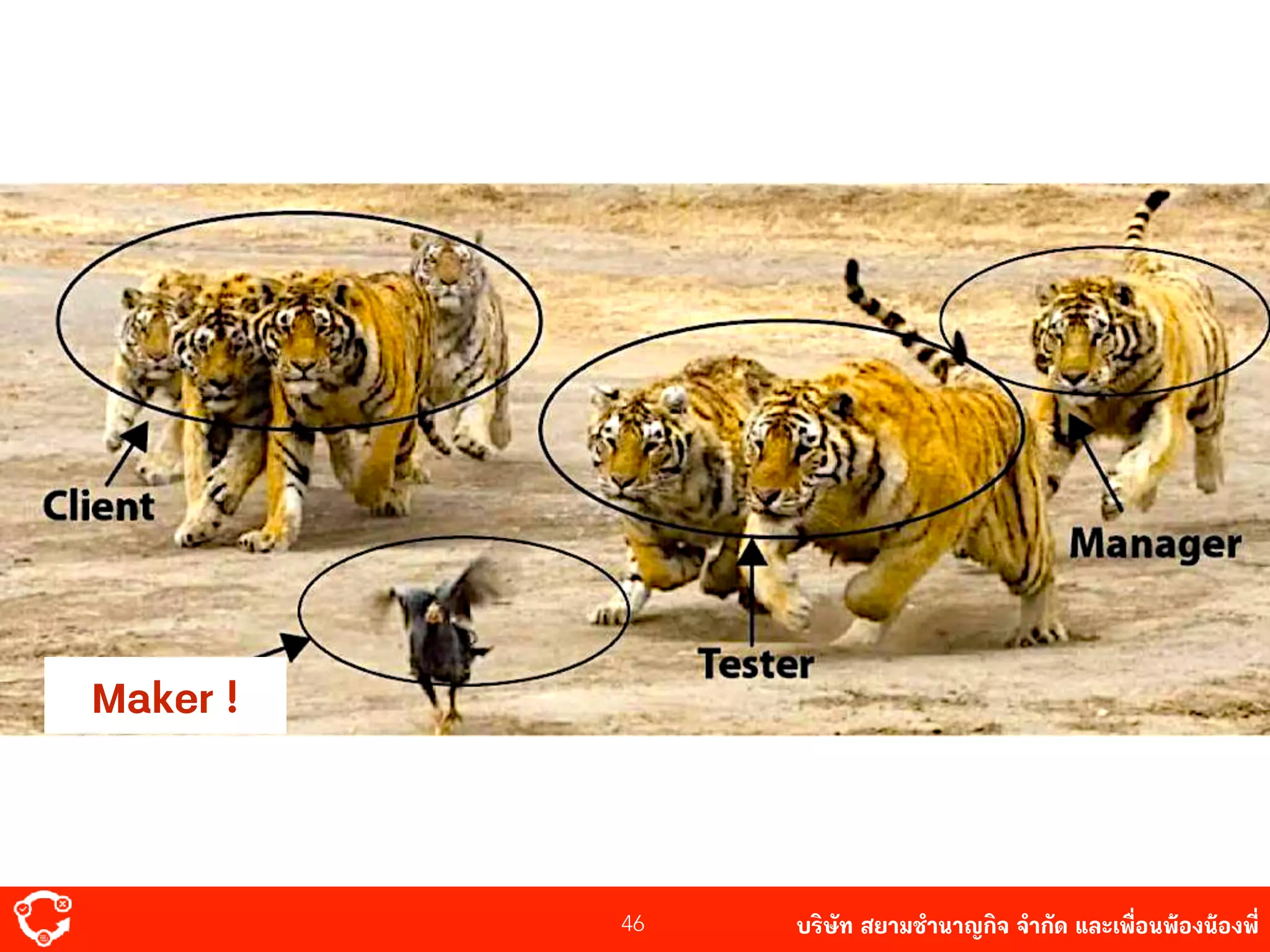 บริษัท สยาม๡ํานาญกิจ จํากัด และเพื่อนพ้องน้องพี่46
Maker !
 