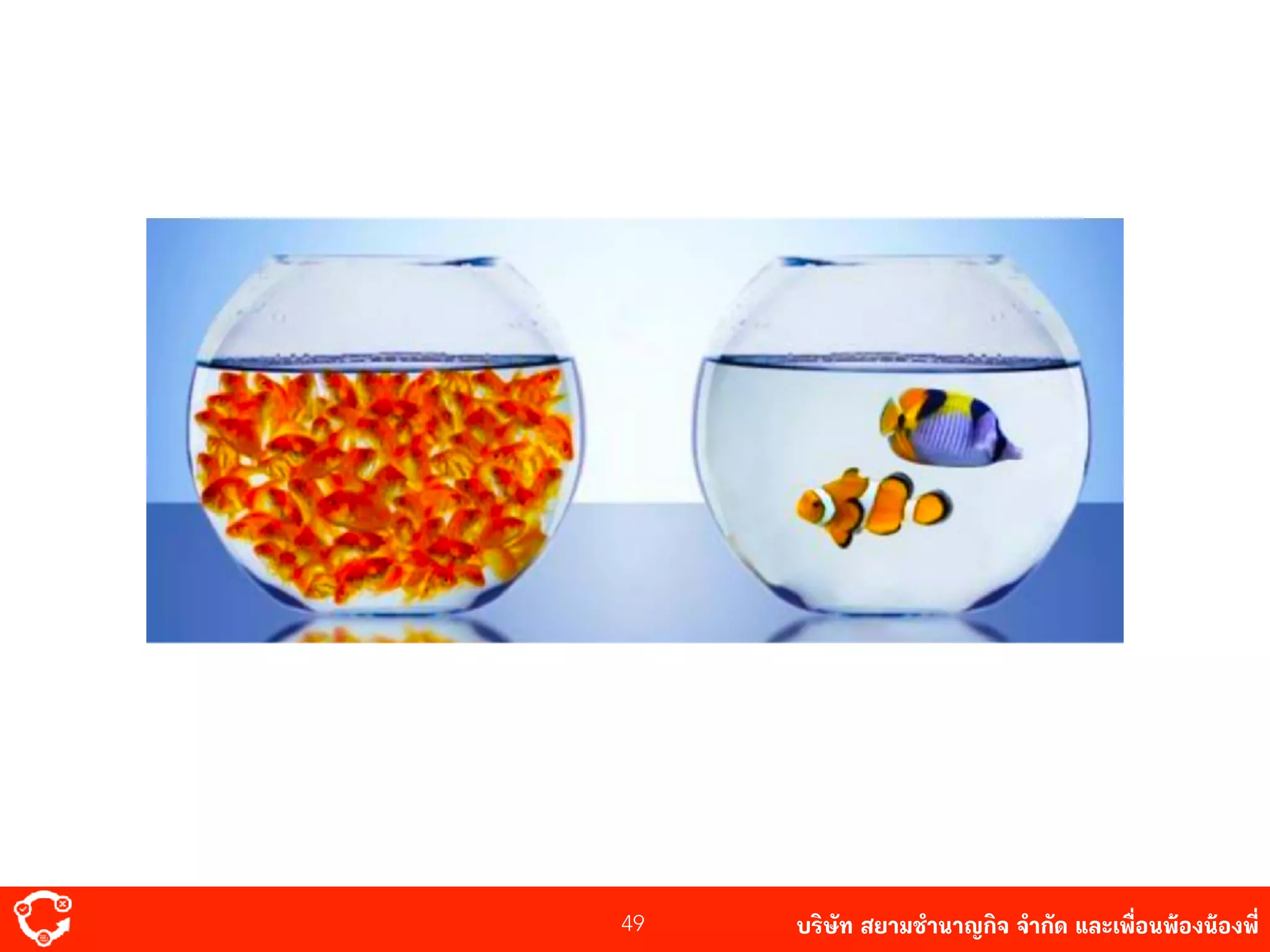 บริษัท สยาม๡ํานาญกิจ จํากัด และเพื่อนพ้องน้องพี่49
 