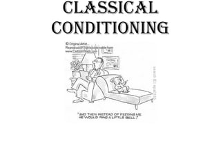 Classical conditioning 