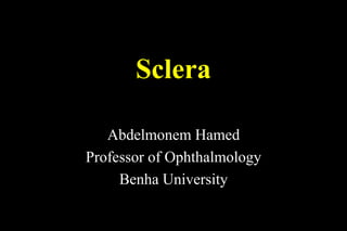 Sclera
Abdelmonem Hamed
Professor of Ophthalmology
Benha University
 