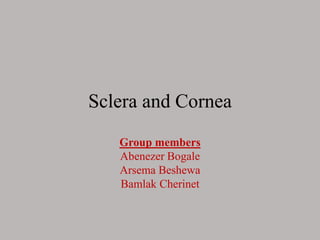 Sclera and Cornea
Group members
Abenezer Bogale
Arsema Beshewa
Bamlak Cherinet
 