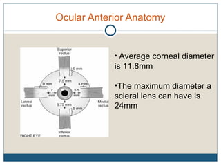 Ocular Anterior Anatomy
• Average corneal diameter
is 11.8mm
•The maximum diameter a
scleral lens can have is
24mm
 