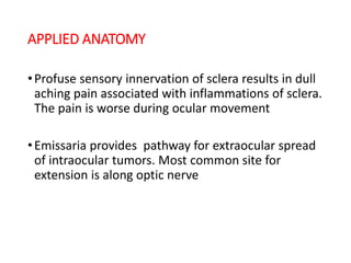 APPLIED ANATOMY
•Profuse sensory innervation of sclera results in dull
aching pain associated with inflammations of sclera.
The pain is worse during ocular movement
•Emissaria provides pathway for extraocular spread
of intraocular tumors. Most common site for
extension is along optic nerve
 