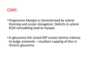 CONT..
•Progressive Myopia is characterized by scleral
thinning and ocular elongation. Defects in scleral
ECM remodeling lead to myopia
•In glaucoma the raised IOP causes lamina cribrosa
to bulge outwards – resultant cupping of disc in
chronic glaucoma
 