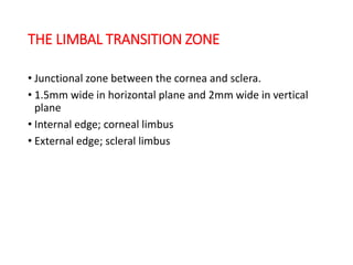 THE LIMBAL TRANSITION ZONE
• Junctional zone between the cornea and sclera.
• 1.5mm wide in horizontal plane and 2mm wide in vertical
plane
• Internal edge; corneal limbus
• External edge; scleral limbus
 
