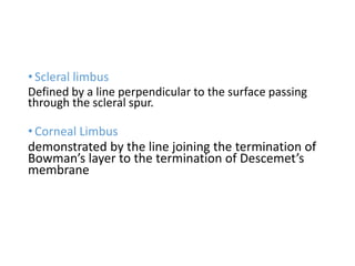 • Scleral limbus
Defined by a line perpendicular to the surface passing
through the scleral spur.
• Corneal Limbus
demonstrated by the line joining the termination of
Bowman’s layer to the termination of Descemet’s
membrane
 