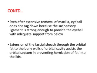 CONTD…
•Even after extensive removal of maxilla, eyeball
does not sag down because the suspensory
ligament is strong enough to provide the eyeball
with adequate support from below.
•Extension of the fascial sheath through the orbital
fat to the bony walls of orbital cavity assists the
orbital septum in preventing herniation of fat into
the lids.
 