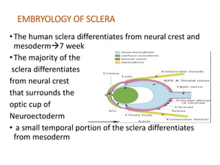 EMBRYOLOGY OF SCLERA
•The human sclera differentiates from neural crest and
mesoderm7 week
•The majority of the
sclera differentiates
from neural crest
that surrounds the
optic cup of
Neuroectoderm
• a small temporal portion of the sclera differentiates
from mesoderm
 