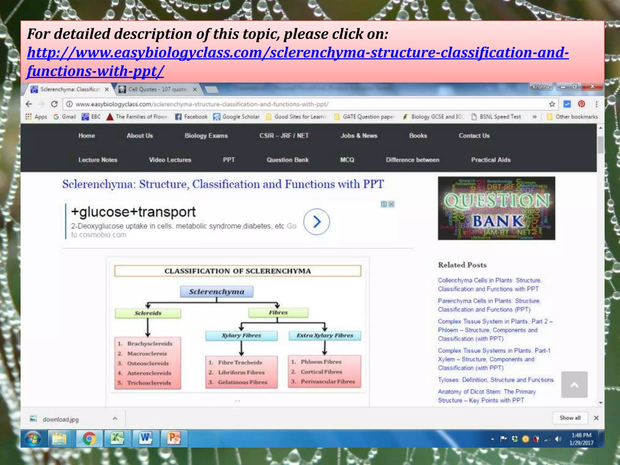 For detailed description of this topic, please click on:
http://www.easybiologyclass.com/sclerenchyma-structure-classification-and-
functions-with-ppt/