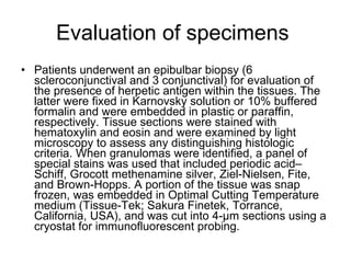 Evaluation of specimens  Patients underwent an epibulbar biopsy (6 scleroconjunctival and 3 conjunctival) for evaluation of the presence of herpetic antigen within the tissues. The latter were fixed in Karnovsky solution or 10% buffered formalin and were embedded in plastic or paraffin, respectively. Tissue sections were stained with hematoxylin and eosin and were examined by light microscopy to assess any distinguishing histologic criteria. When granulomas were identified, a panel of special stains was used that included periodic acid–Schiff, Grocott methenamine silver, Ziel-Nielsen, Fite, and Brown-Hopps. A portion of the tissue was snap frozen, was embedded in Optimal Cutting Temperature medium (Tissue-Tek; Sakura Finetek, Torrance, California, USA), and was cut into 4-μm sections using a cryostat for immunofluorescent probing. 