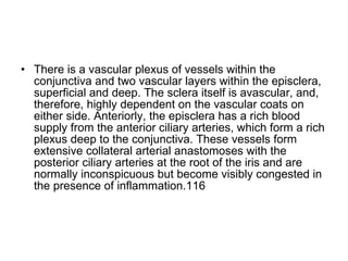 There is a vascular plexus of vessels within the conjunctiva and two vascular layers within the episclera, superficial and deep. The sclera itself is avascular, and, therefore, highly dependent on the vascular coats on either side. Anteriorly, the episclera has a rich blood supply from the anterior ciliary arteries, which form a rich plexus deep to the conjunctiva. These vessels form extensive collateral arterial anastomoses with the posterior ciliary arteries at the root of the iris and are normally inconspicuous but become visibly congested in the presence of inflammation.116 