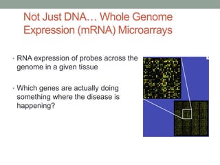 Not Just DNA… Whole Genome 
Expression (mRNA) Microarrays 
• RNA expression of probes across the 
genome in a given tissue 
• Which genes are actually doing 
something where the disease is 
happening? 
 