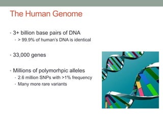 The Human Genome 
• 3+ billion base pairs of DNA 
• > 99.9% of human’s DNA is identical 
• 33,000 genes 
• Millions of polymorhpic alleles 
• 2.6 million SNPs with >1% frequency 
• Many more rare variants 
 