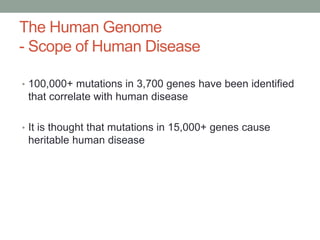 The Human Genome 
- Scope of Human Disease 
• 100,000+ mutations in 3,700 genes have been identified 
that correlate with human disease 
• It is thought that mutations in 15,000+ genes cause 
heritable human disease 
 