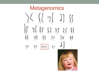 Metagenomics 
 