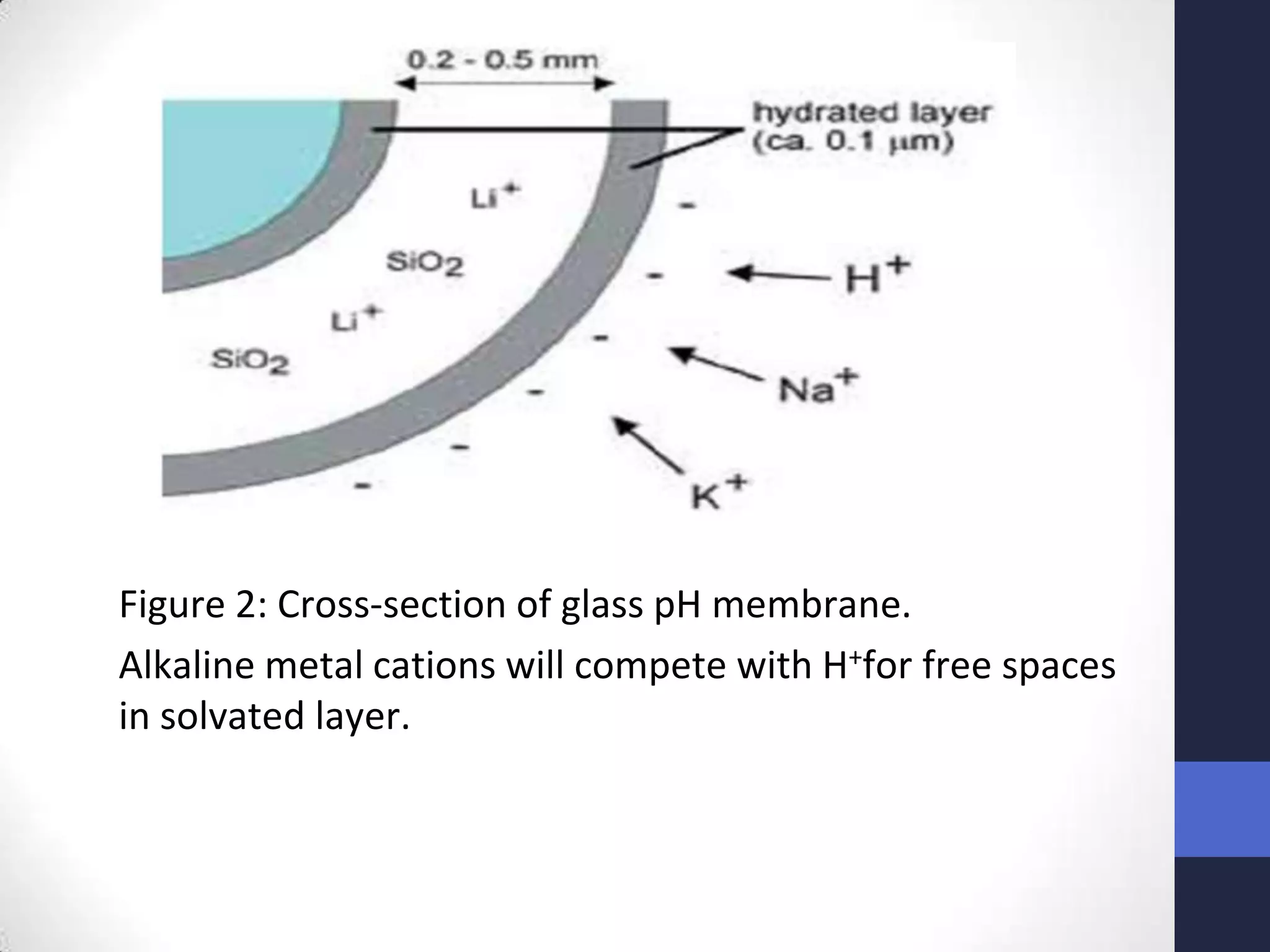 Figure 2: Cross-section of glass pH membrane.
Alkaline metal cations will compete with H+for free spaces
in solvated layer.
 