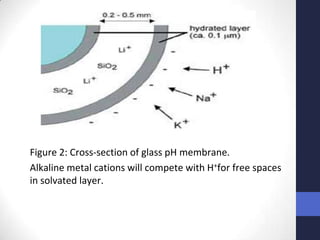 Figure 2: Cross-section of glass pH membrane.
Alkaline metal cations will compete with H+for free spaces
in solvated layer.
 