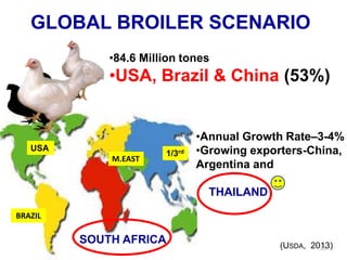 BRAZIL 
M.EAST 
1/3rd 
•Annual Growth Rate–3-4% 
•Growing exporters-China, Argentina and THAILAND 
SOUTH AFRICA 
•84.6 Million tones 
•USA, Brazil & China (53%) 
GLOBAL BROILER SCENARIO 
(USDA, 2013) 
USA 
13  