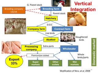 Breeding companyUS/UK 
Breeding farm 
Hatchery 
Company farmContract farm 
AbattoirProcessing companyWholesalerSuper markets 
Other outlets 
Wet markets 
Export 
33% 
G. Parent stock 
Parent stock 
D.O.C 
Live birds 
Slaughtered birds 
Extra parts 
Whole birds/parts 
Premium/pre cooked Domestic market 
Vertical IntegrationModification of NEALet al, 200818  