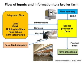 Integrated FirmLandEVAPHolding facilitiesFarm labourFirm veterinarian 
Farm feed company 
Broiler production farm 
Firm processing 
Firm hatchery 
Infrastructure 
Services 
Vaccine 
D.O.C 
Finished BirdsModification of NEALet al, 2008 
Flow of inputs and information to a broiler farm 
19  