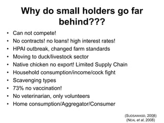 Why do small holders go far behind??? 
•Can not compete! 
•No contracts! no loans! high interest rates! 
•HPAI outbreak, changed farm standards 
•Moving to duck/livestock sector 
•Native chicken no export! Limited Supply Chain 
•Household consumption/income/cock fight 
•Scavenging types 
•73% no vaccination! 
•No veterinarian, only volunteers 
•Home consumption/Aggregator/Consumer 
(SUDSAWASD, 2008) 
(NEALet al, 2008) 
22  