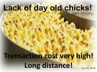 Lack of day old chicks! 
Transaction cost very high! Long distance! 
(Lovell, 2014) 
27  