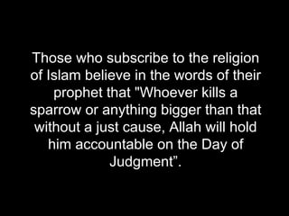 Those who subscribe to the religion of Islam believe in the words of their prophet that "Whoever kills a sparrow or anything bigger than that without a just cause, Allah will hold him accountable on the Day of Judgment”. 